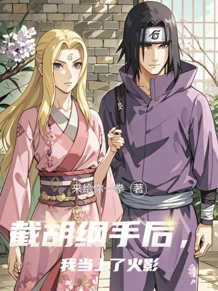 截胡纲手后我当上了火影