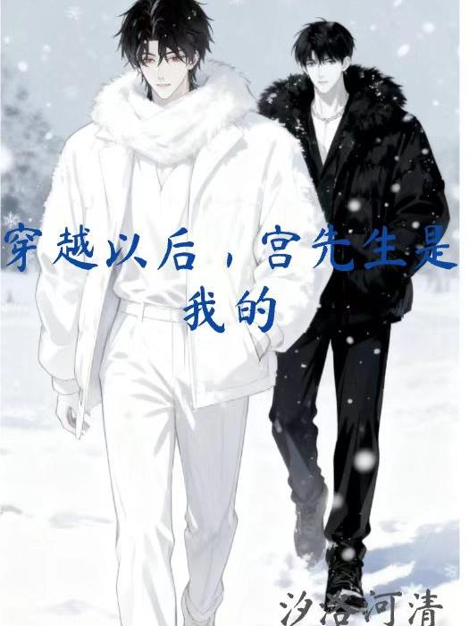 穿越后宫先生是我的